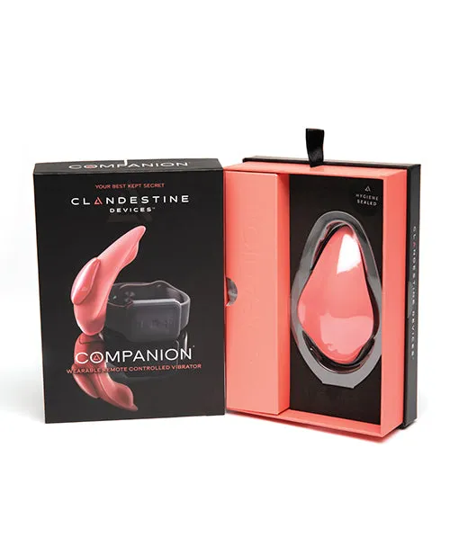 Clandestine Companion