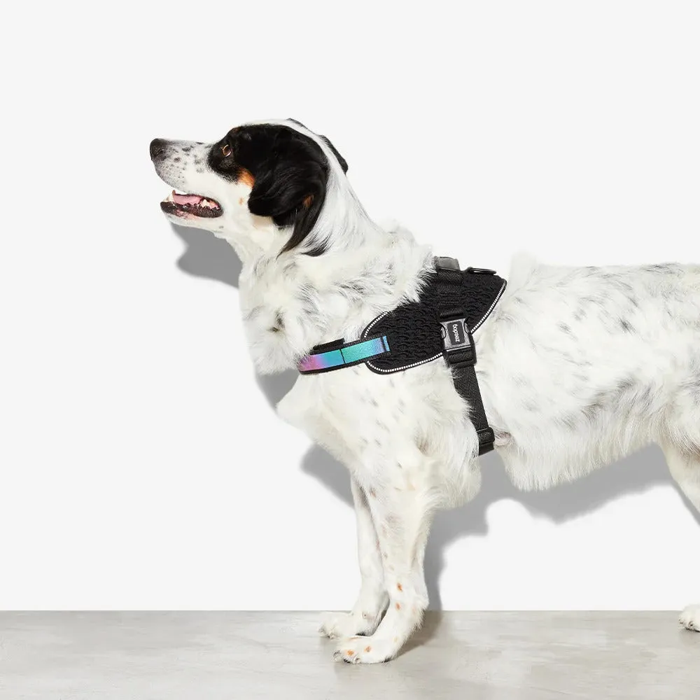 Zee Dog Gotham Dog Flyharness