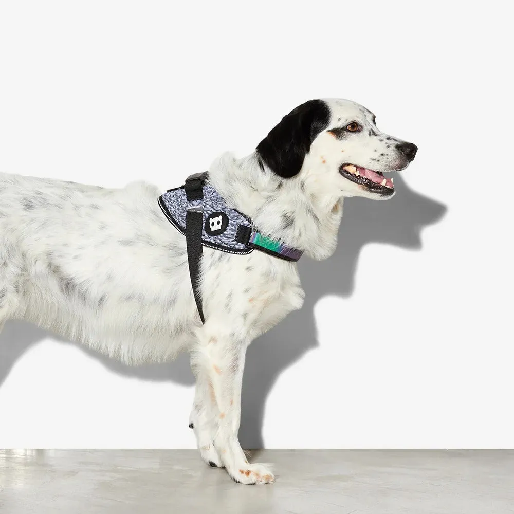 Zee Dog Urban Dog Flyharness